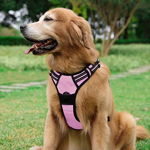 rabbitgoo Arnés Perro Rosado Grande Chalecos Ajustables Arnés Antitirones Perro Correas reflectores Mejor Seguridad Hebillas Resistentes Color Rosa Tamaño L Grande