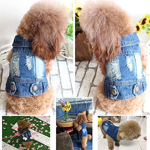 SILD - Chaqueta Vaquera con Capucha para Perros medianos y pequeños, diseño Vintage Desgastado, Color Azul (L)