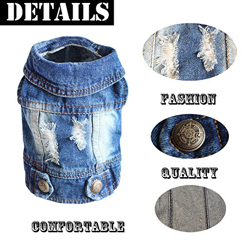 SILD - Chaqueta Vaquera con Capucha para Perros medianos y pequeños, diseño Vintage Desgastado, Color Azul (L)