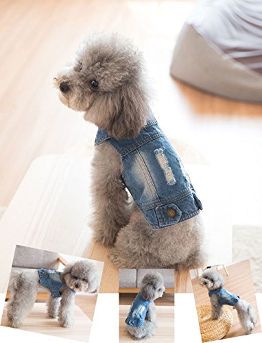 SILD - Chaqueta Vaquera con Capucha para Perros medianos y pequeños, diseño Vintage Desgastado, Color Azul (M)