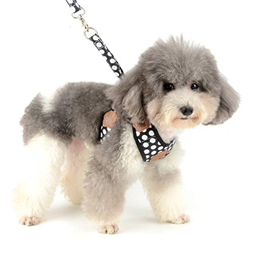 smalllee_lucky_store Chaleco Perro o Gato, Suave, Malla de Nailon, con Correa y arnés, Color Negro, Talla S