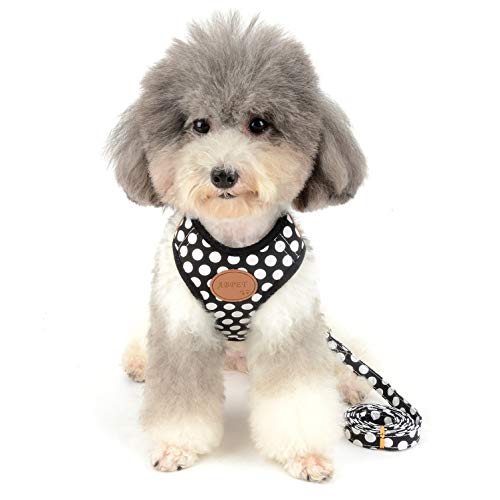 smalllee_lucky_store Chaleco Perro o Gato, Suave, Malla de Nailon, con Correa y arnés, Color Negro, Talla S