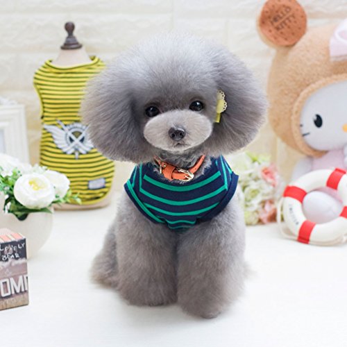 smalllee_lucky_store - Ropa para Perro pequeña, diseño de Rayas, algodón, Talla L, Color Verde