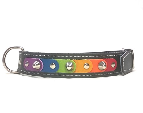 Superpipapo Original Collar para Perros, Todas Las Tallas, Correa Opcional, Diseño Orgullo Gay con los Colores Arcoiris Arco-Ciel, Grande, 55 cm X: Cuello 40-45 cm, Ancho 28mm