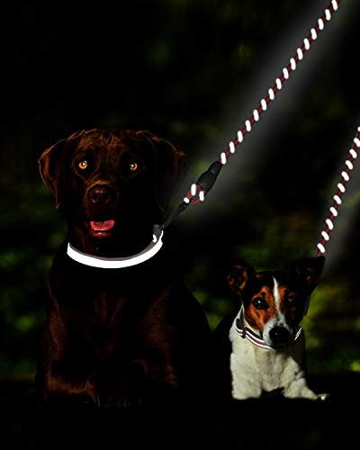 Taglory Correas Dobles/Correa de Perro para Dos Perros/Acoplador Divisor Fuerte para Perros pequeño medianos Grandes/Giratorio 360 ° sin enredos/Cuerda de escalada/75cm Verde