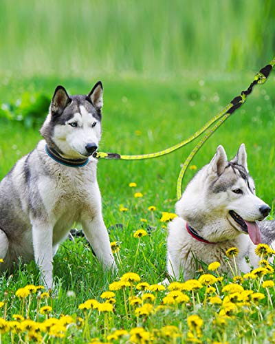 Taglory Correas Dobles/Correa de Perro para Dos Perros/Acoplador Divisor Fuerte para Perros pequeño medianos Grandes/Giratorio 360 ° sin enredos/Cuerda de escalada/75cm Verde