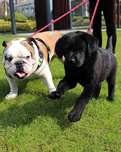 Taglory Correas Dobles/Correa de Perro para Dos Perros/Acoplador Divisor Fuerte para Perros pequeño medianos Grandes/Giratorio 360 ° sin enredos/Cuerda de escalada/75cm Rosa