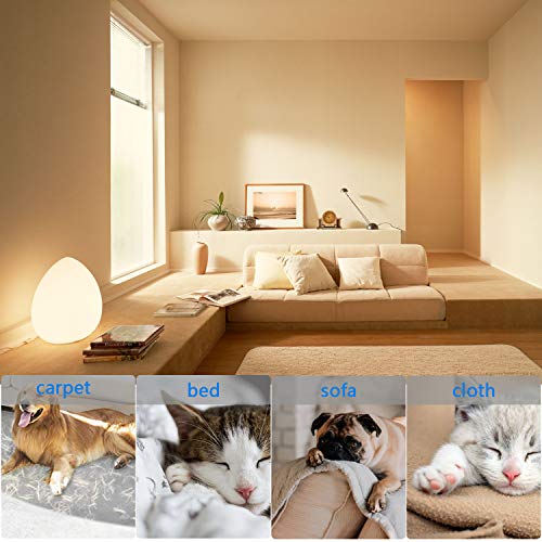 AlfaView Quitapelos y Rodillos para Mascotas,Cepillo de Limpieza Removedor de Pelaje para Perro y Gato,Removedor de Muebles para Mascotas para Limpiar el Automóvil Ropa Muebles Sofá Alfombras