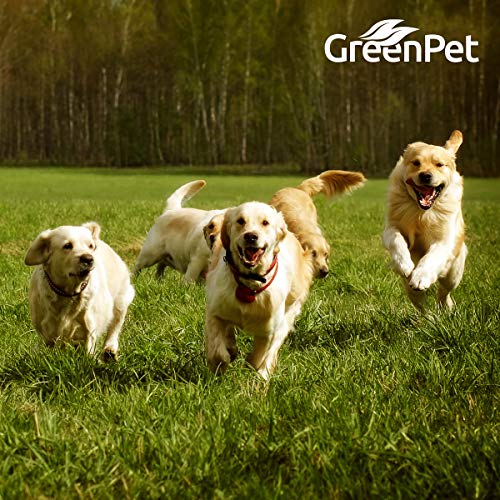 Glucosamina en Polvo para Perros y Caballos (500g.) | Sin Aditivos, Azúcares ni Sal Añadidos | GreenPet