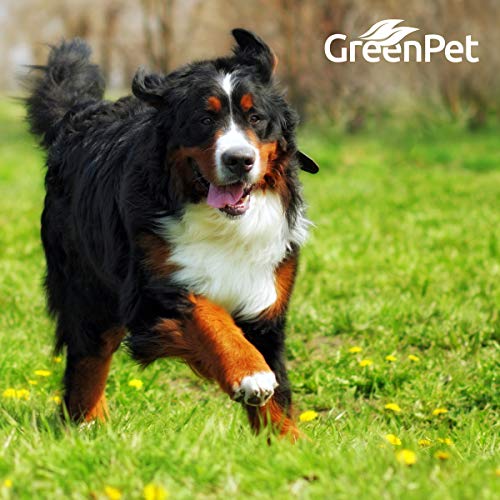 Glucosamina en Polvo para Perros y Caballos (500g.) | Sin Aditivos, Azúcares ni Sal Añadidos | GreenPet