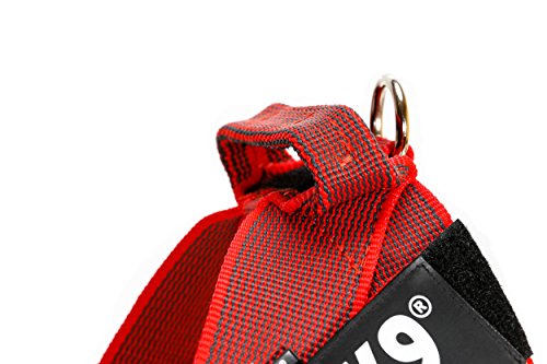 Julius-K9 Arnés de Correa Color & Gray, Talla: 1, Rojo-Gris