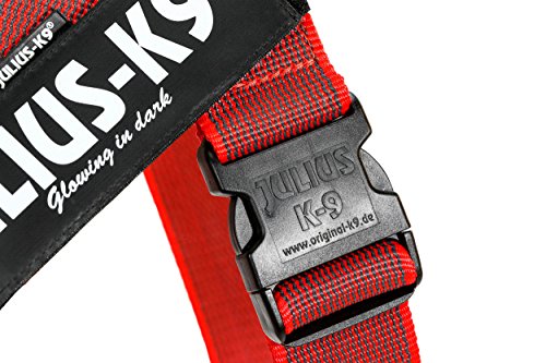 Julius-K9 Arnés de Correa Color & Gray, Talla: 1, Rojo-Gris