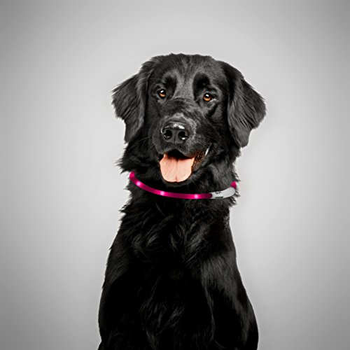 LED USB Silicón Collar luminoso para perros, gatas, mascotas. Recargable vía USB (Tamaño S-L se puede cortar individualmente a 18-65 cm) en rosa de la marca PRECORN