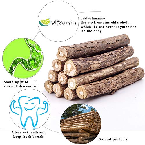 OneBarleycorn - Palitos de Catnip para Gatos, Juguete para morder para Gatos 100% orgánico Natural Matatabi Dental Treats, Paquete de 30 Unidades