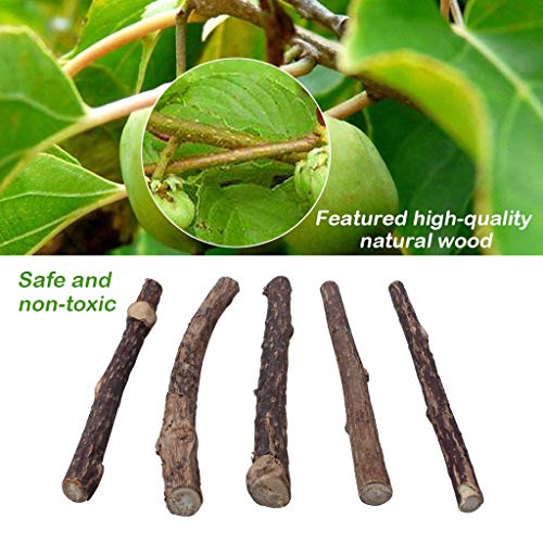 OneBarleycorn - Palitos de Catnip para Gatos, Juguete para morder para Gatos 100% orgánico Natural Matatabi Dental Treats, Paquete de 30 Unidades