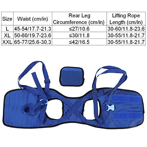 Pssopp Perro Caminando Levantando Carry Levante Soporte Arnés Cinturón de Asistencia para Perros Sling Respirable Recuperación de la Movilidad del Perro Cabestrillo para Ayudar a la Cadera (XXL)