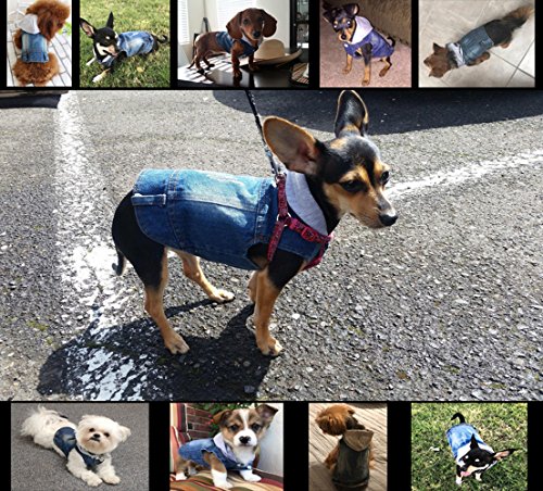 SILD - Chaqueta Vaquera con Capucha para Perros medianos y pequeños, diseño Vintage Desgastado, Color Azul (M)