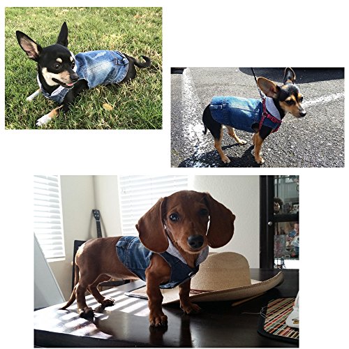 SILD - Chaqueta Vaquera con Capucha para Perros medianos y pequeños, diseño Vintage Desgastado, Color Azul (M)