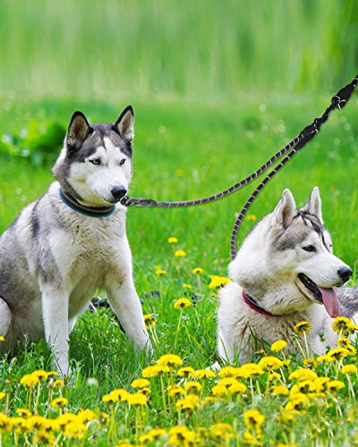 Taglory Correas Dobles/Correa de Perro para Dos Perros/Acoplador Divisor Fuerte para Perros pequeño medianos Grandes/Giratorio 360 ° sin enredos/Cuerda de escalada/75cm Negro
