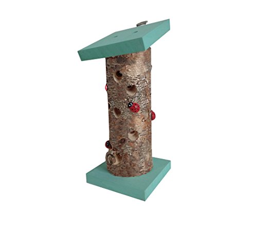 Dehner Natura Mariquita Casa Lady Bird, Madera de Abedul, Turquesa/marrón
