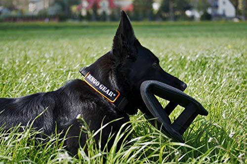 Dingo Gear Gizmo Cuña para Entrenamiento de Perros, Universal, 3 Asas, nailcot, Color Negro S00518