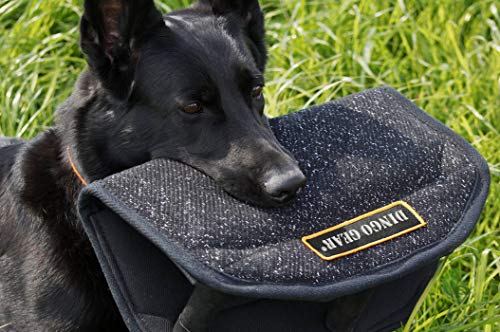 Dingo Gear Gizmo Cuña para Entrenamiento de Perros, Universal, 3 Asas, nailcot, Color Negro S00518