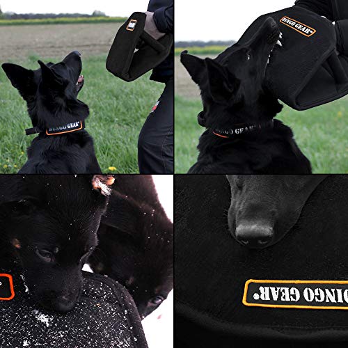 Dingo Gear Gizmo Cuña para Entrenamiento de Perros, Universal, 3 Asas, nailcot, Color Negro S00518