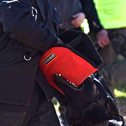 Dingo Gear S00517 Gizmo - Cuña para Entrenamiento de Perros, Universal, 3 Asas, Color Rojo
