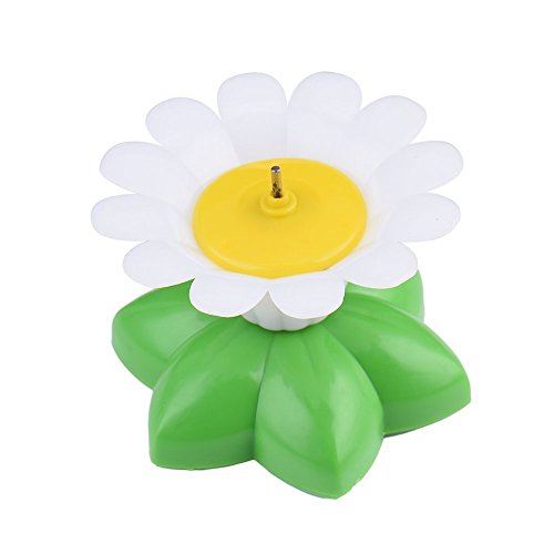 Divertido tentetieso, juguetes interactivos para gatos, perseguidor, diseño de palo con pluma.
