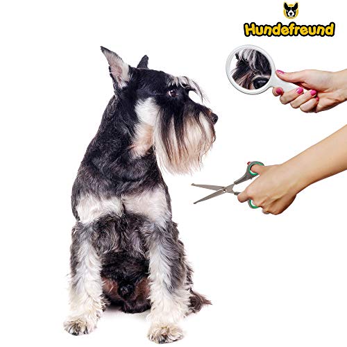 Set de Tijeras para Perros con Tijera de Entresacar, para el cuidado del pelaje de cualquier raza | Las tijeras están hechas de acero inoxidable con punta redondeada