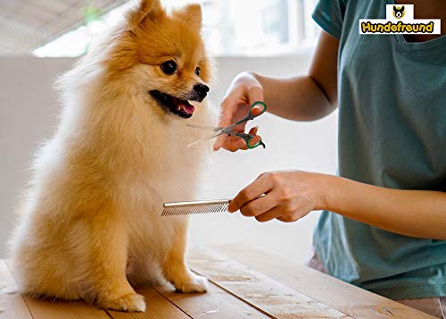 Set de Tijeras para Perros con Tijera de Entresacar, para el cuidado del pelaje de cualquier raza | Las tijeras están hechas de acero inoxidable con punta redondeada