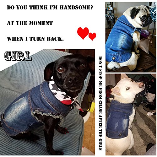 SILD - Chaqueta Vaquera con Capucha para Perros medianos y pequeños, diseño Vintage Desgastado, Color Azul (M)