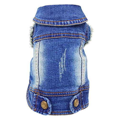 SILD - Chaqueta Vaquera con Capucha para Perros medianos y pequeños, diseño Vintage Desgastado, Color Azul (M)