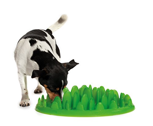The Company of Animals 0886284592116 - Green Slow alimentador Mini