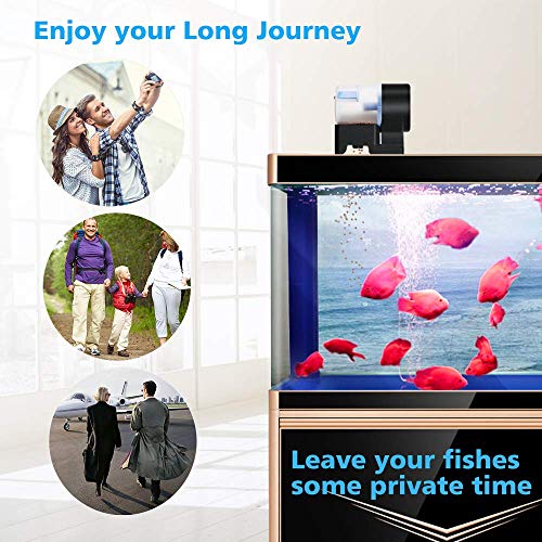Alimentador automático de peces, Smart Aquarium Timer Feeder 3 modos para el acuario de peces Cada día de vacaciones Fin de semana Pescado Dispensadores de alimentos con 2 dispensadores de alimentos