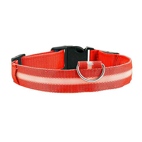 Collar de perro carlino LED rojo tamaño S recargable luz de seguridad iluminado collar de perro y cable de carga USB