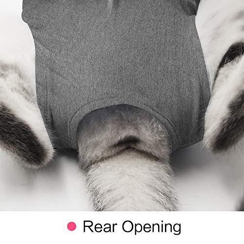 Dotoner Gatos Traje de recuperación Profesional para heridas Abdominales o Enfermedades de la Piel Alternativo para Gatos y Perros después de la cirugía Ropa para el hogar(Gris,m)