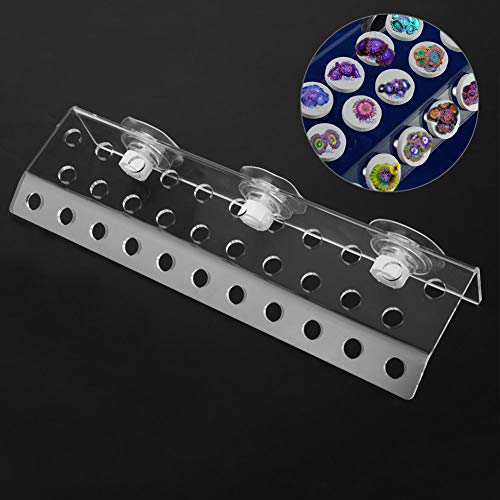 Fditt Fish Tank Aquarium Coral Rack Bracket Holder Acrílico Hecho con Ventosas