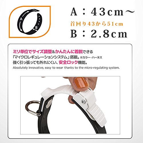 Feplast Collar de Goma Técnica para Perros Ergoflex C28/51, Hipoalergénico y Atóxico, Lavable, Sistema de Microrregulación, A: 43 x 51 Cm-B: 28 Mm Negro