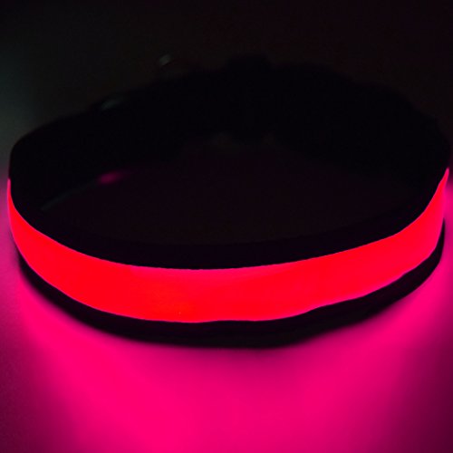 Fun Pets Collar de Seguridad para Perros con LED Recargable Ultra Brillante con Gran Visibilidad y Seguridad Mejorada Medio (40cm - 50cm / 15.7" - 19.7") Rosado