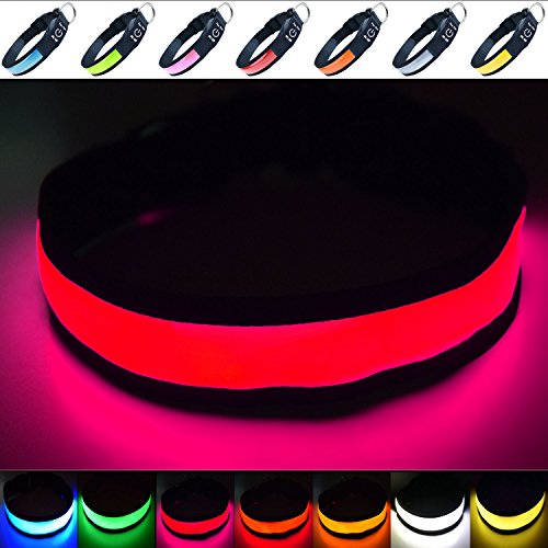 Fun Pets Collar de Seguridad para Perros con LED Recargable Ultra Brillante con Gran Visibilidad y Seguridad Mejorada Medio (40cm - 50cm / 15.7" - 19.7") Rosado