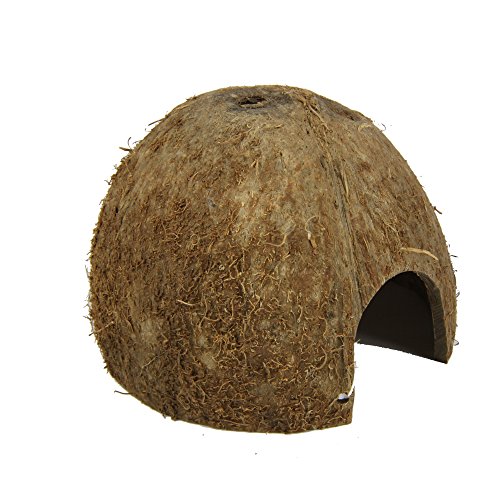 JBL 6151100 Cueva de cáscara de coco para acuarios y terrarios 1/2 M, marron