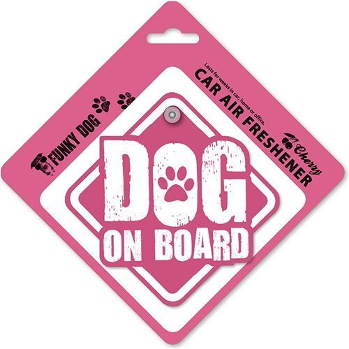 Magnet & Steel 23-4956 Señal A5 Boston Terrier - Lives Here, 14.8 x 21 cm