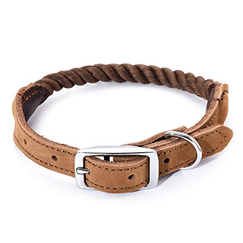 Mile High Life - Collar para Perro de Cuerda de algodón Premium | Hebilla de Acero Inoxidable | Collar de cinturón de Cuero Genuino | para Perros medianos Grandes