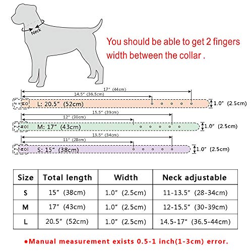 MMWW con Tachuelas para Perros pequeños y medianos para Perros pequeños y medianos Pitbull Terrier 11-17 SML Ajustable 5 Colores-Negro_L