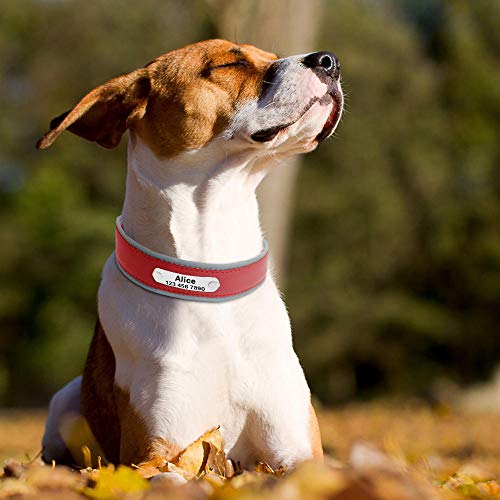 MMWW Lares para Mascotas de Cuero Personalizados Bastón de Collar Ajustable para Perros medianos Grandes Pitbull Bulldog Bull Terrier-Brown_M