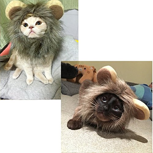 Morbuy Interesante Peluca Disfraz de León, Sombrero Pelo con Orejas Diverdido Cosplay Traje para Perro Gato Cachorro Mascotas Halloween Navidad (M)