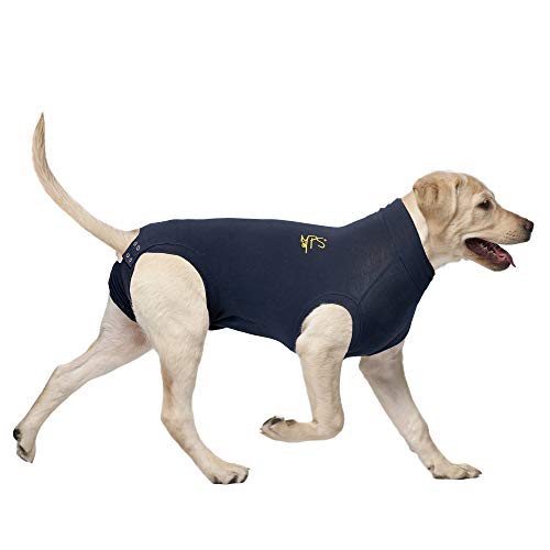 MPS Perro de Mascota Camiseta XXL Azul Marino