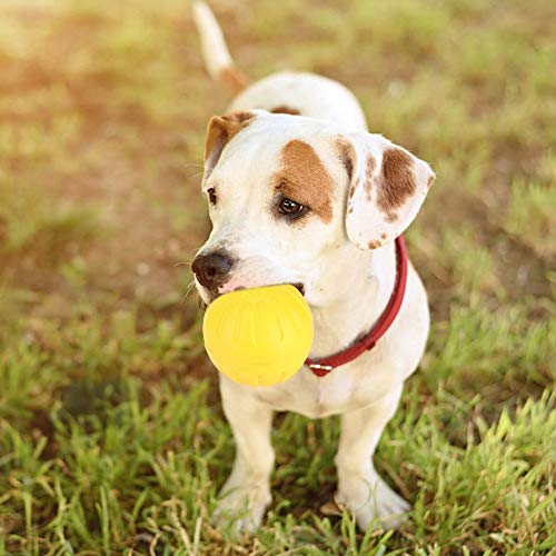 Pelota de Perro de Juguete, portátil Durable EVA Amarillo sólido Resistente a la mordida Flotante Mascota Perro Entrenamiento Bola Masticar Juguetes