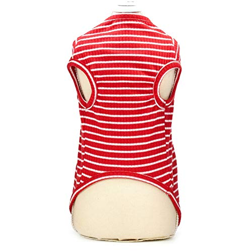 SMALLLEE_LUCKY_STORE Ropa para Mascotas